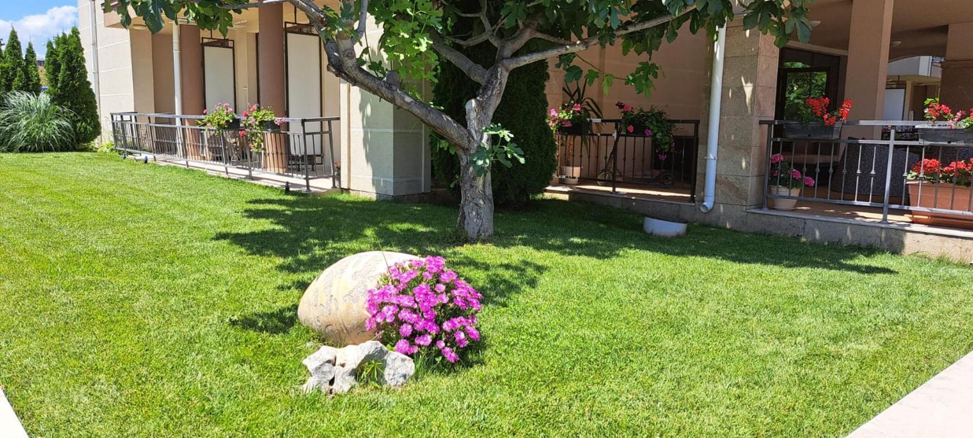 Patrick'S Apartments - Sorrento Sole Mare, Szveti Vlasz Kültér fotó